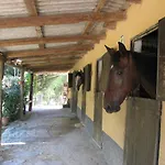 Macalube 3*