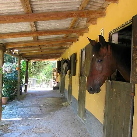 Macalube Bed and breakfast 3*