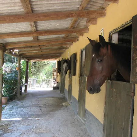 Macalube 3*