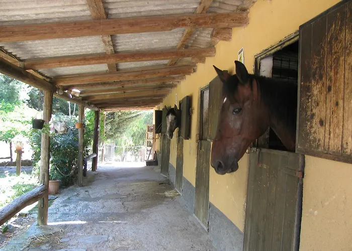 Macalube 3*